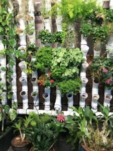 sustainable gardening and landscaping ideas | Think Architecture