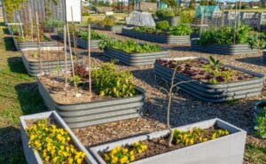 sustainable garden in large Utah backyard | Think Architecture