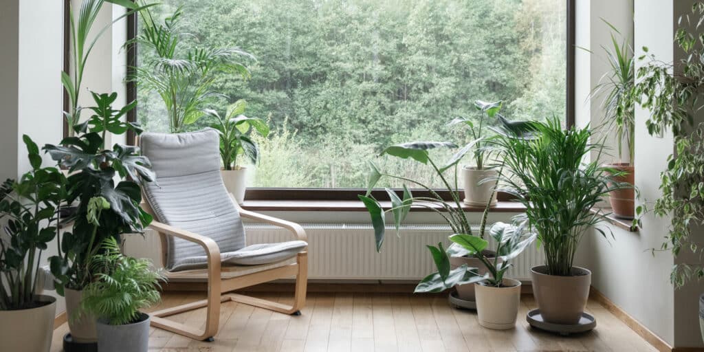 mcm chair next to large window and wide variety of houseplants in pots for sustainable design